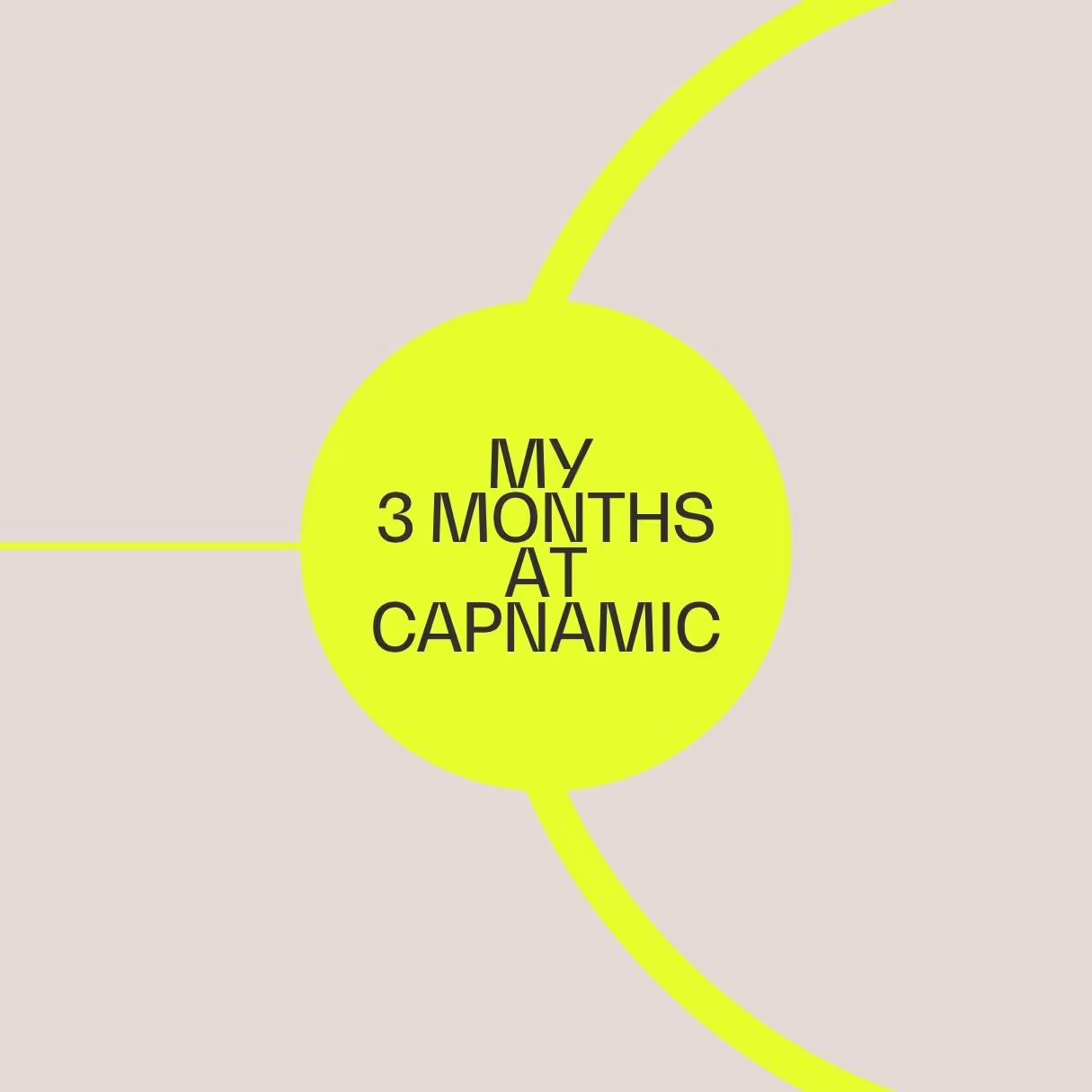My Time as a Visiting Investment Analyst at Capnamic